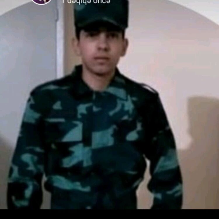  42726827  , 31 ,    