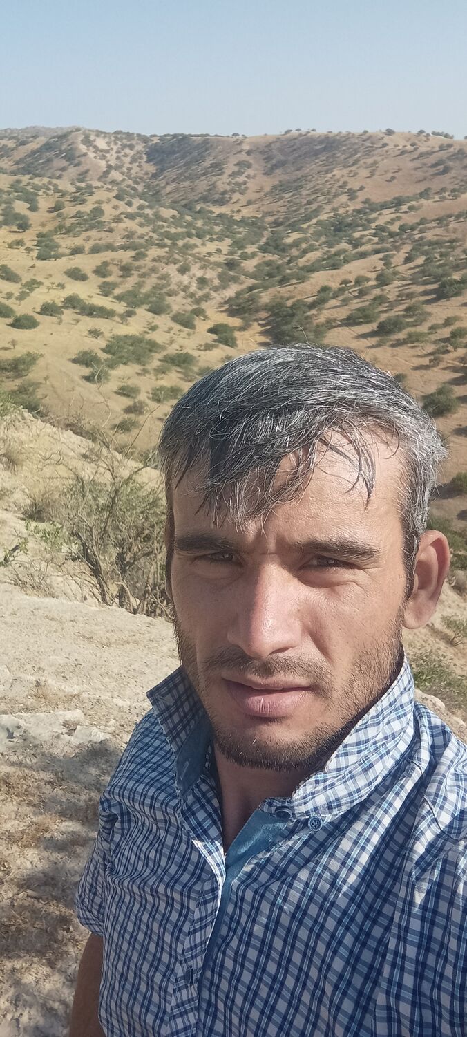 ���������� ��������, ���� ������� ���������, 36 ���, ������������ ��� ������, ����� � ���������