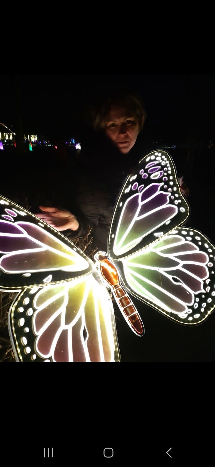  ,   , 51 ,   ,   , c , 