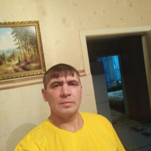  36597007  , 41 ,    
