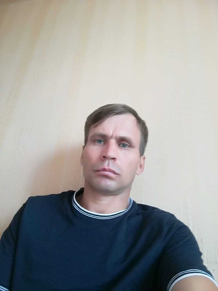  50428417  , 43 ,    