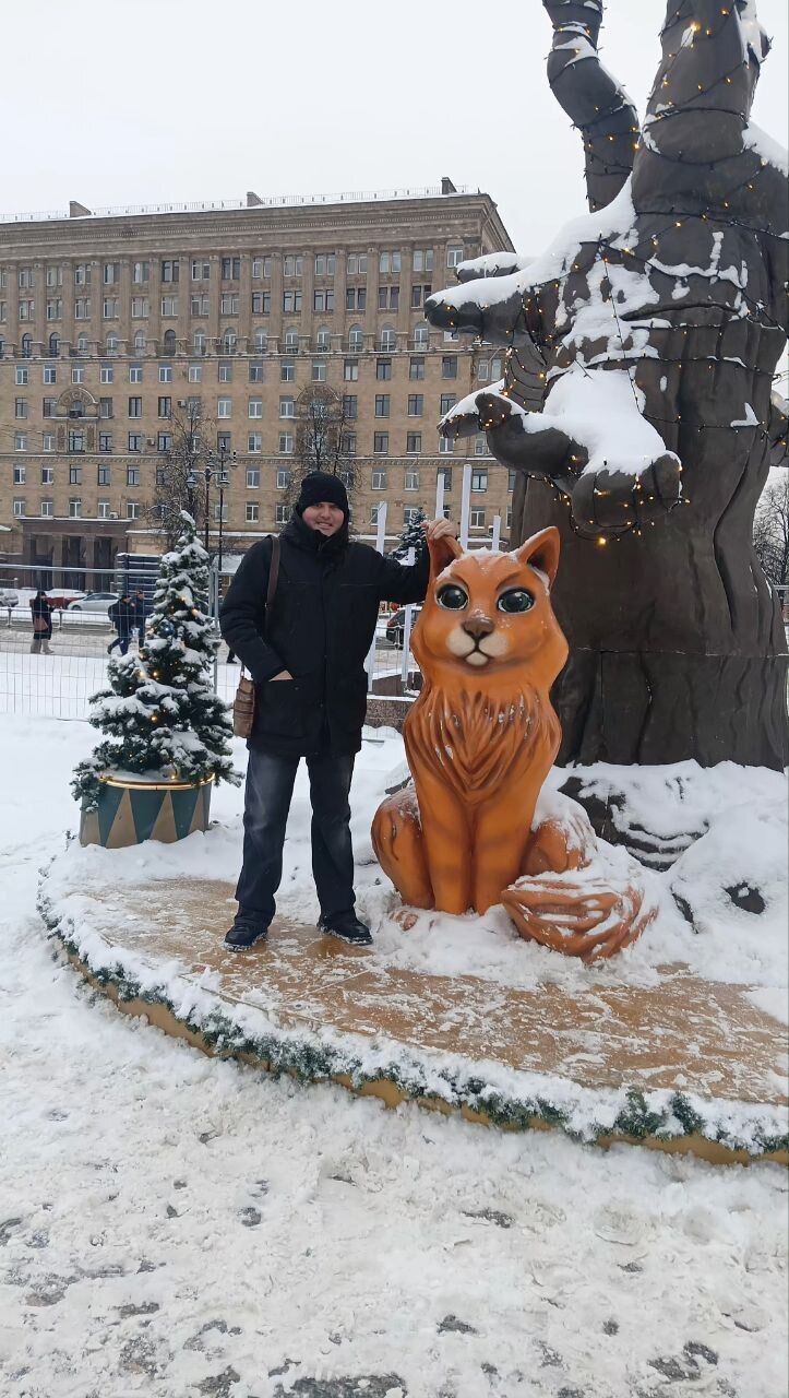 ���� 55194597 ������� �����, 50 ���, ���� ���������� � �����-����������