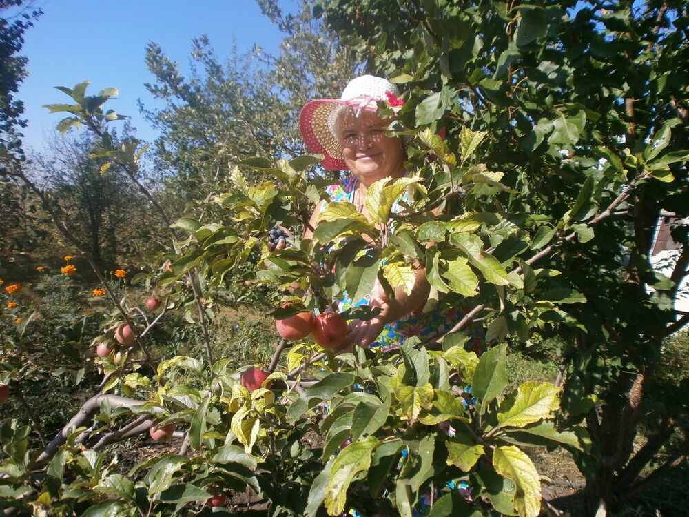 ���������� ������, ���� ������� ����, 62 ����, ������������ ��� ������, ����� � ���������, c�������� ���������