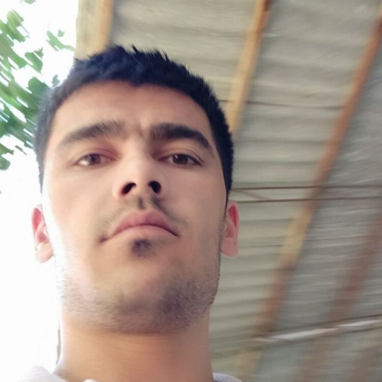 ���� 55185947 ������� �����, 46 ���, ���� ���������� � ���������