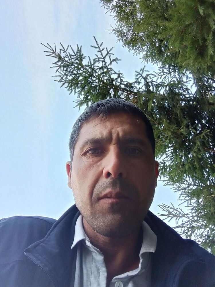  52806407  , 43 ,    