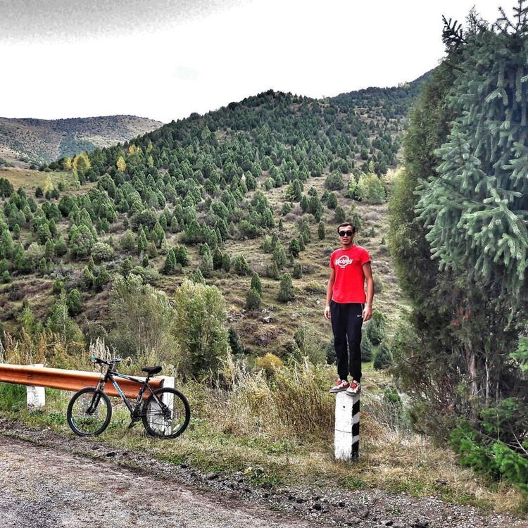 ���������� ������, ���� ������� ���, 32 ����, ������������ ��� ������, ����� � ���������, c�������� ���������