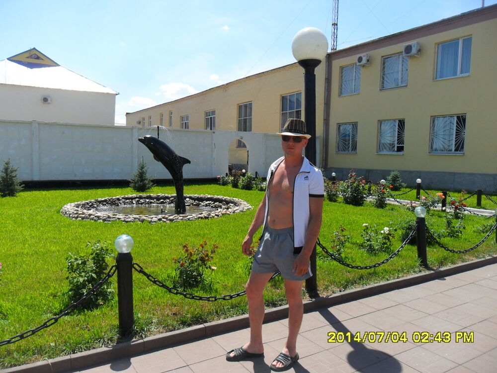 ���� 4704027 ������� Kotik, 40 ���, ���� ���������� � �������������