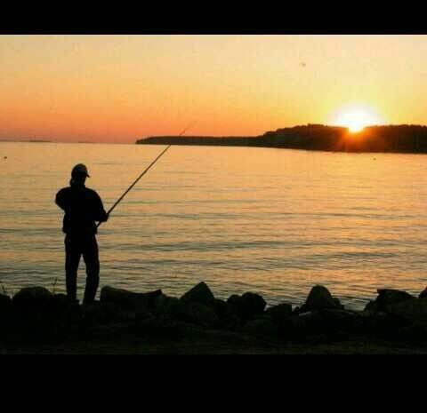 ���� 10959287 ������� ������, 45 ���, ���� ���������� � �����������