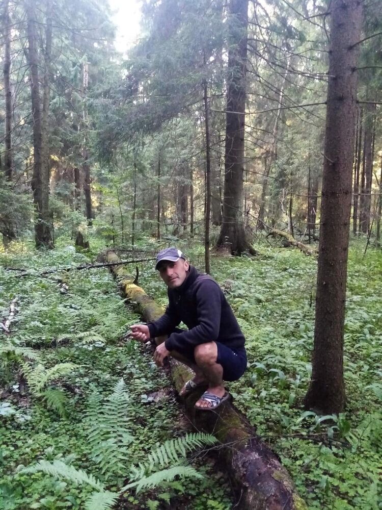 ���� 20637847 ������� HOVO, 43 ����, ���� ���������� � �������