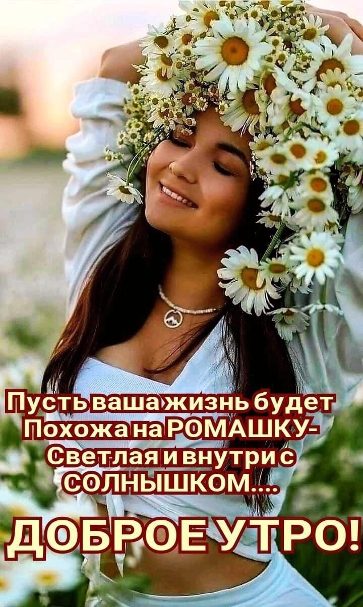  44349387  , 55 ,    