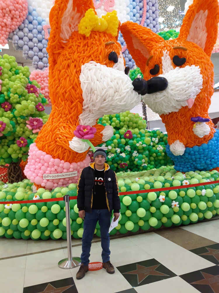 ���������� �����-���������, ���� ����� �������, 22 ����, ������������ ��� ������, ����� � ���������