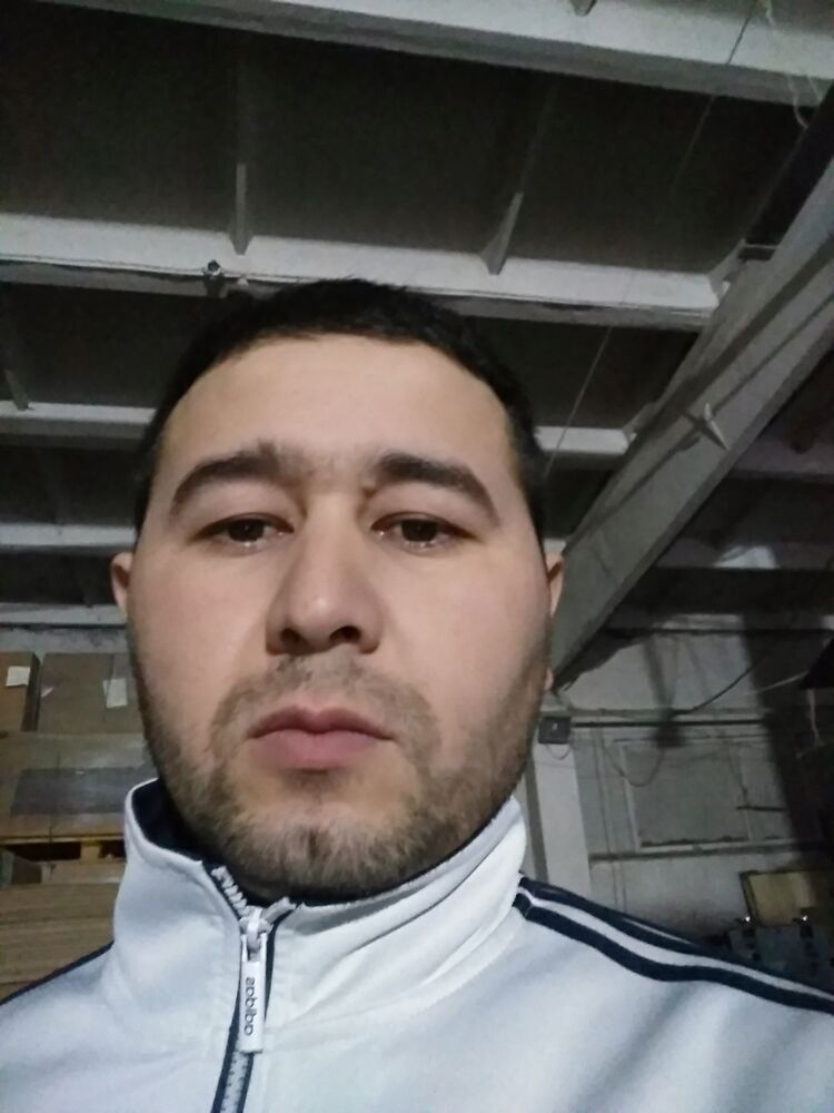  31686447  Sardorbek, 31 ,    