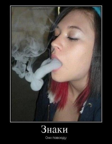 ���� 4070047 ������� GEVORG, 37 ���, ���� ���������� � �������