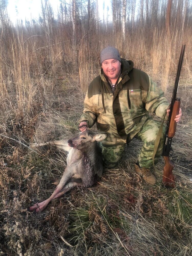 ���� 56053737 ������� ������, 53 ����, ���� ���������� � ��������