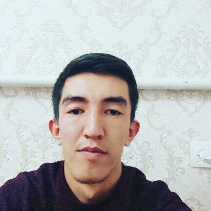  37203467  , 27 ,    