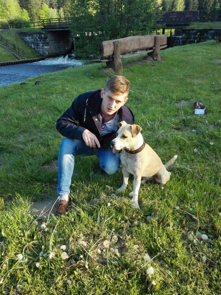 ���� 17951267 ������� �������, 31 ���, ���� ���������� � ������