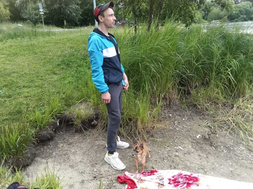 ���������� ������������, ���� ������� Gad, 36 ���, ������������ ��� ������, ����� � ���������