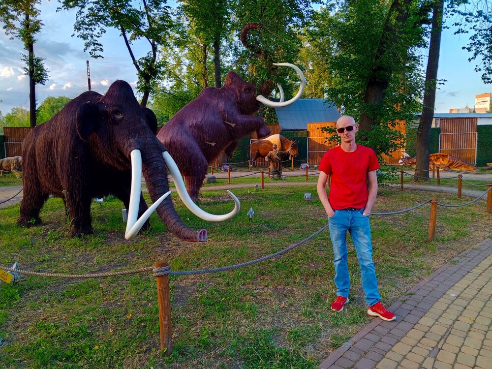 ���������� ������ ��������, ���� ������� ���������, 42 ����, ������������ ��� ������