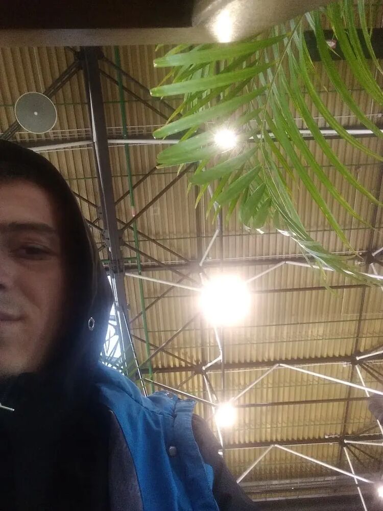 ���� 31208457 ������� �����, 30 ���, ���� ���������� � ��������