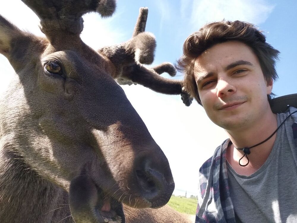 ���������� ٸ�����, ���� ������� �������, 29 ���, ������������ ��� ������, ����� � ���������, c�������� ���������, ���������