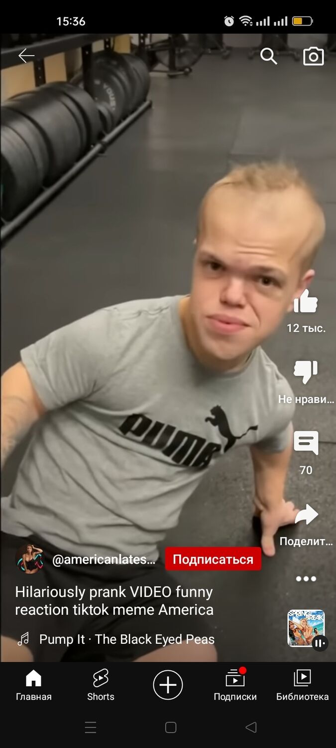 ���� 33242287 ������� �����, 42 ����, ���� ���������� � ��������