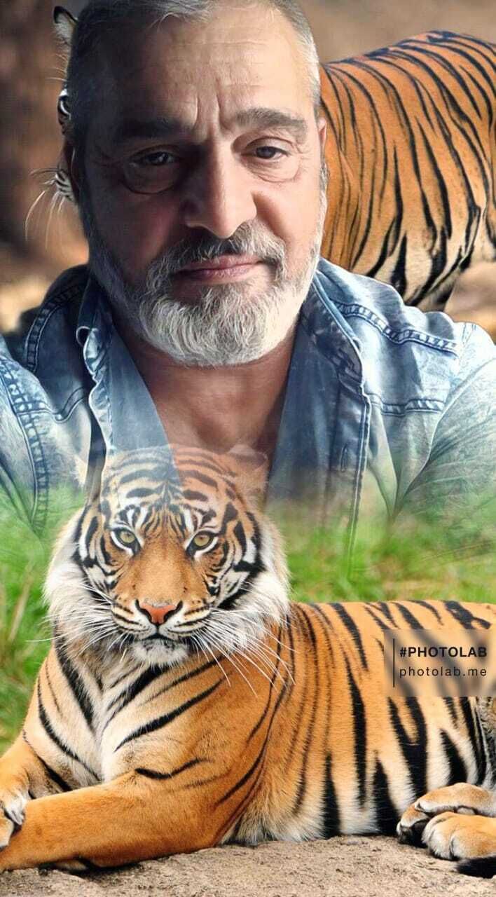 ���������� ����������, ���� ������� �����, 50 ���, ������������ ��� ������, ����� � ���������, c�������� ���������