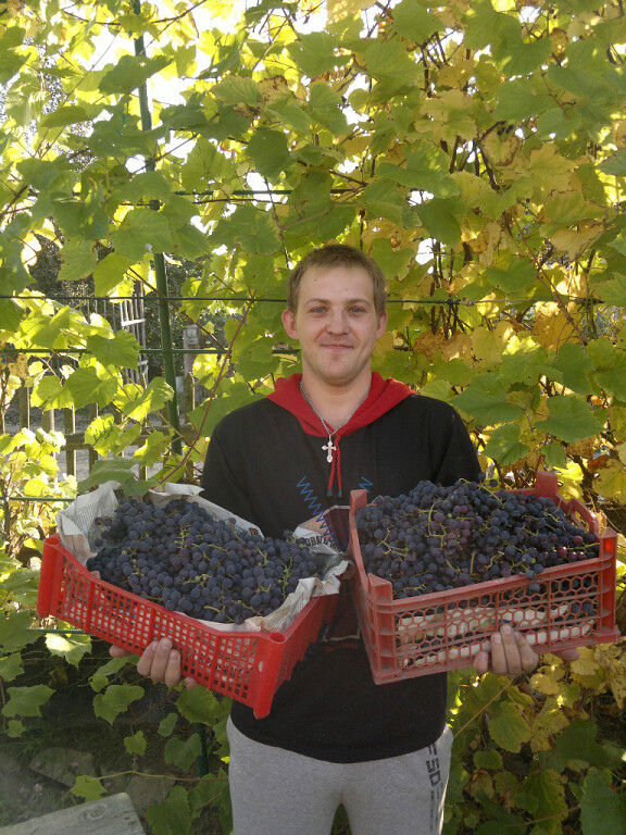 ���������� ������, ���� ������� �������, 40 ���, ������������ ��� c�������� ���������, ���������