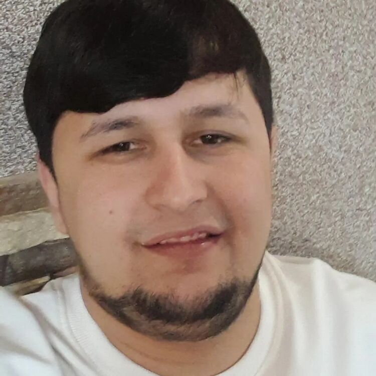  50528867  , 26 ,    