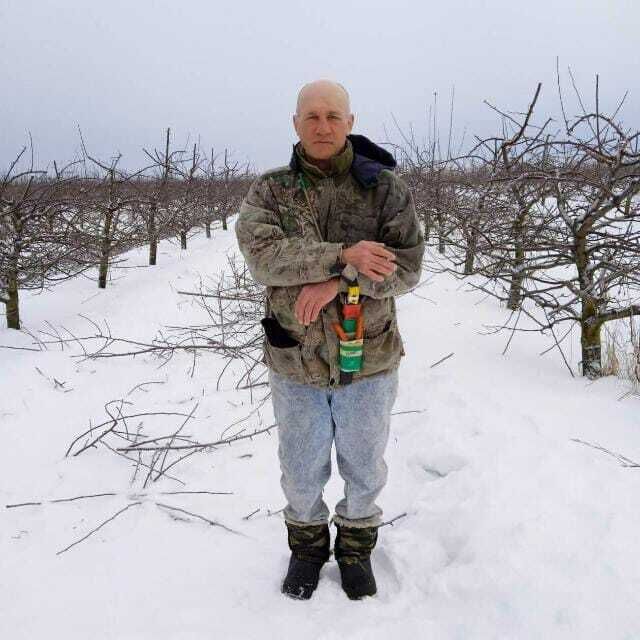  53227667  , 55 ,    