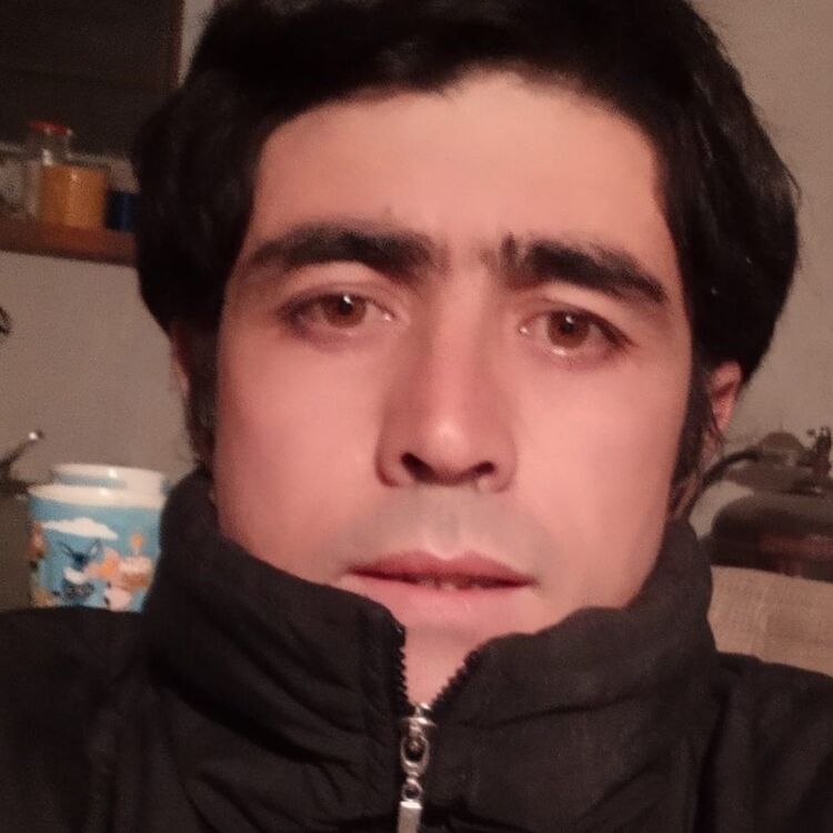  30434117  , 36 ,    -