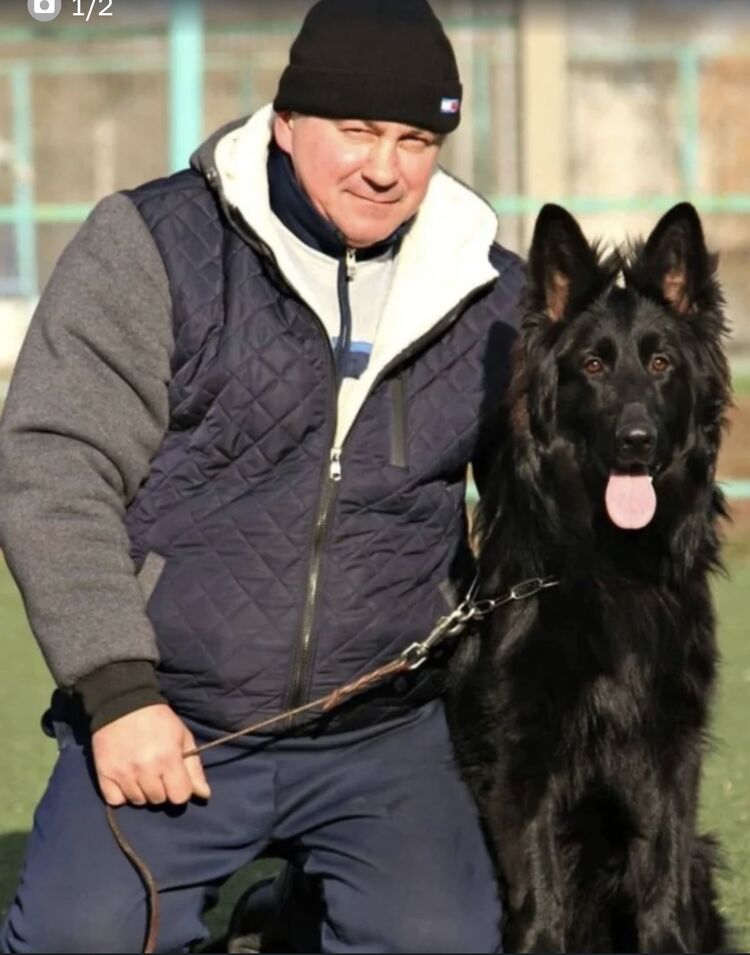 ���� 56122147 ������� ������, 50 ���, ���� ���������� � ��������