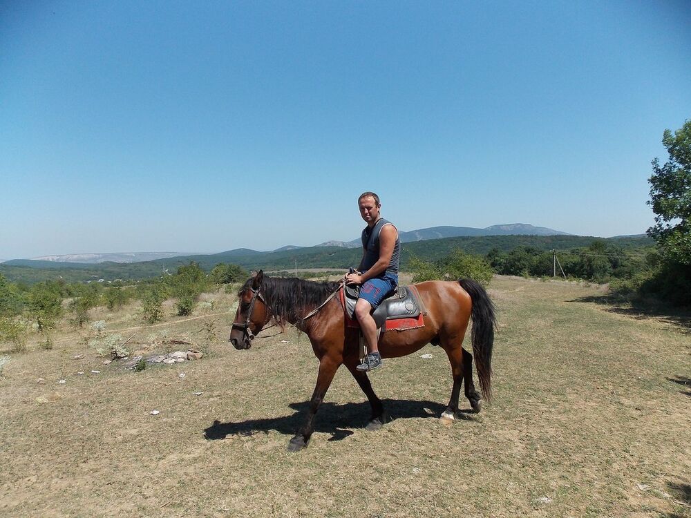 ���� 11236147 ������� ������, 42 ����, ���� ���������� � ������