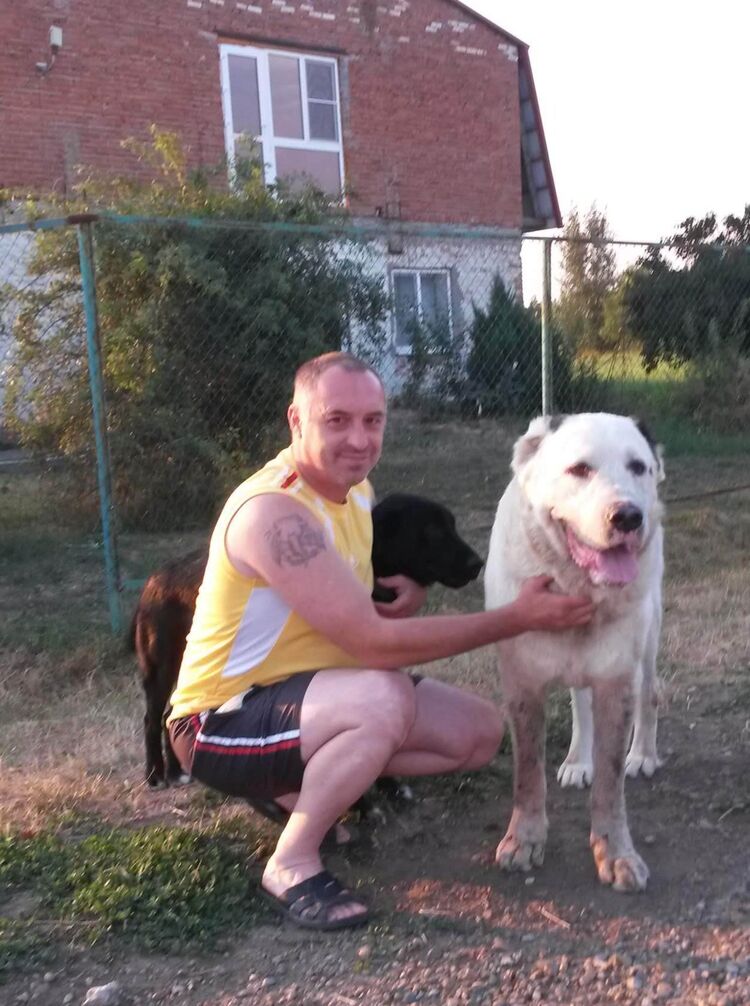 ,   , 53 ,     , c 