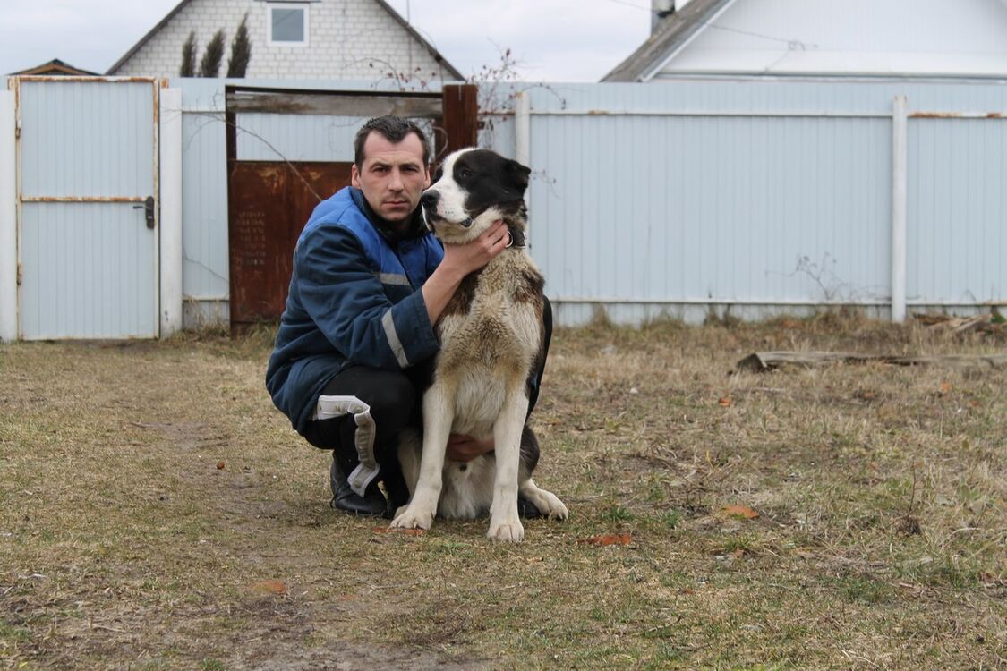 ���������� ������, ���� ������� ���, 41 ���, ������������ ��� ������, ����� � ���������, c�������� ���������