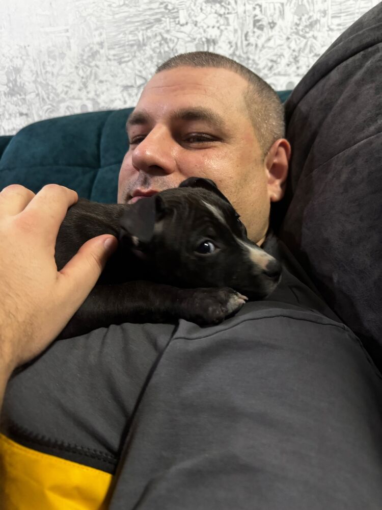 ���������� ������, ���� ������� ����, 39 ���, ������������ ��� ������, ����� � ���������, c�������� ���������