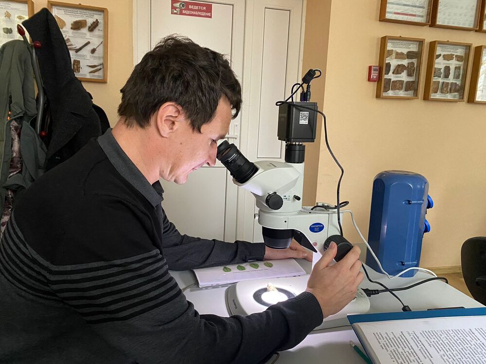 ���� 38509437 ������� ����, 40 ���, ���� ���������� � ���������