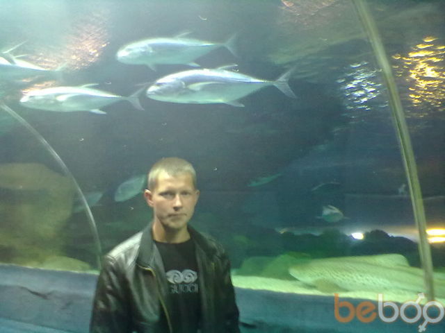 ���������� �������, ���� ������� ���������, 37 ���, ������������ ��� ������, ����� � ���������, c�������� ���������