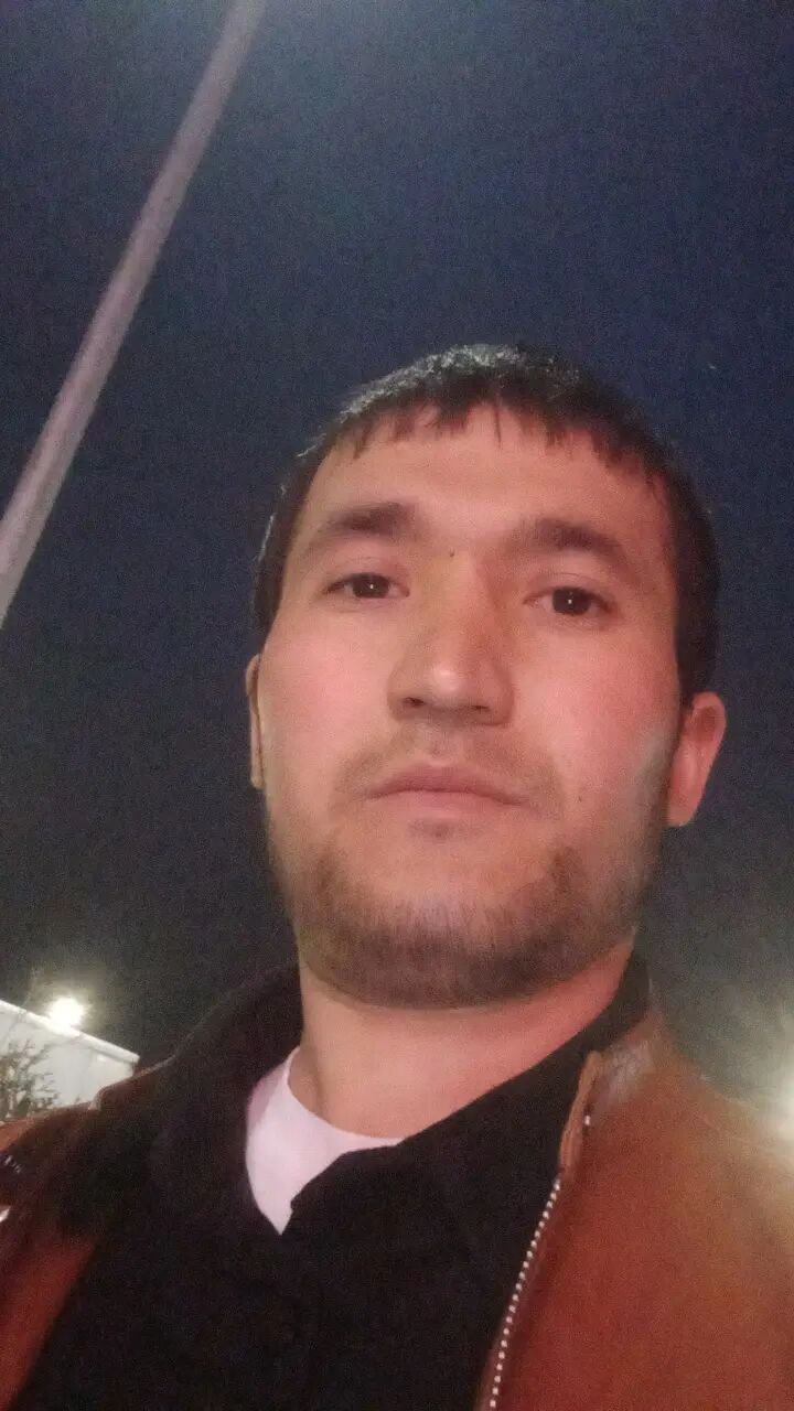  44003417  , 31 ,    