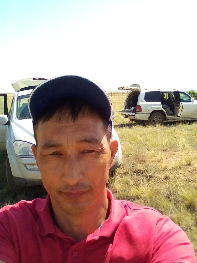  9943937  , 56 ,    