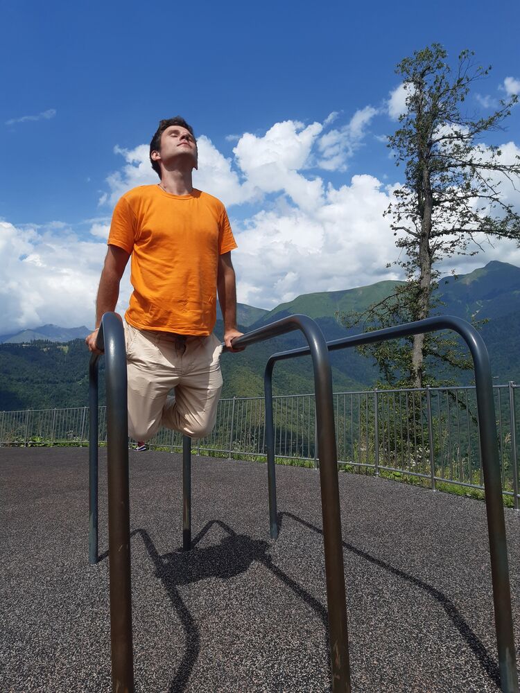  33186167  , 37 ,    -