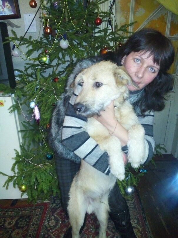  7348797  , 51 ,    -