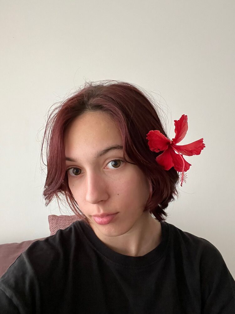 ���������� �����, ���� ������� ���������, 22 ����, ������������ ��� ���������