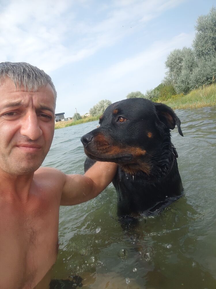 ���������� �����������, ���� ������� �����, 43 ����, ������������ ��� c�������� ���������, ���������