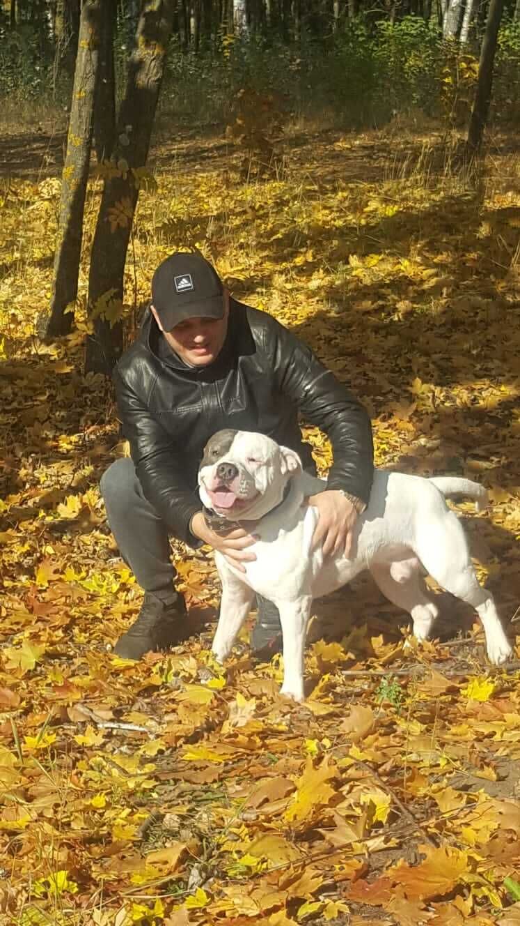 ���������� ������, ���� ������� �������, 45 ���, ������������ ��� ������, ����� � ���������