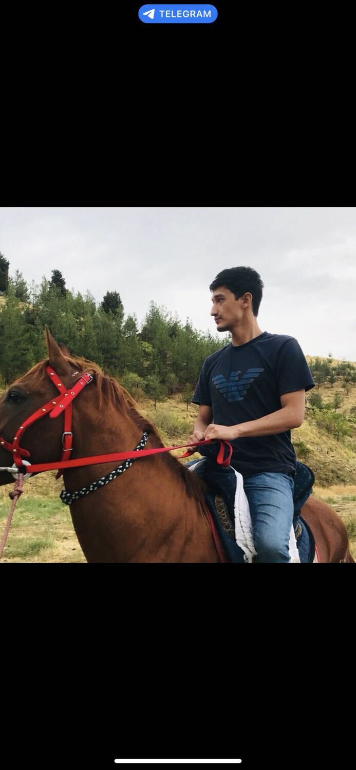 ���� 44163657 ������� �����, 32 ����, ���� ���������� � ������������