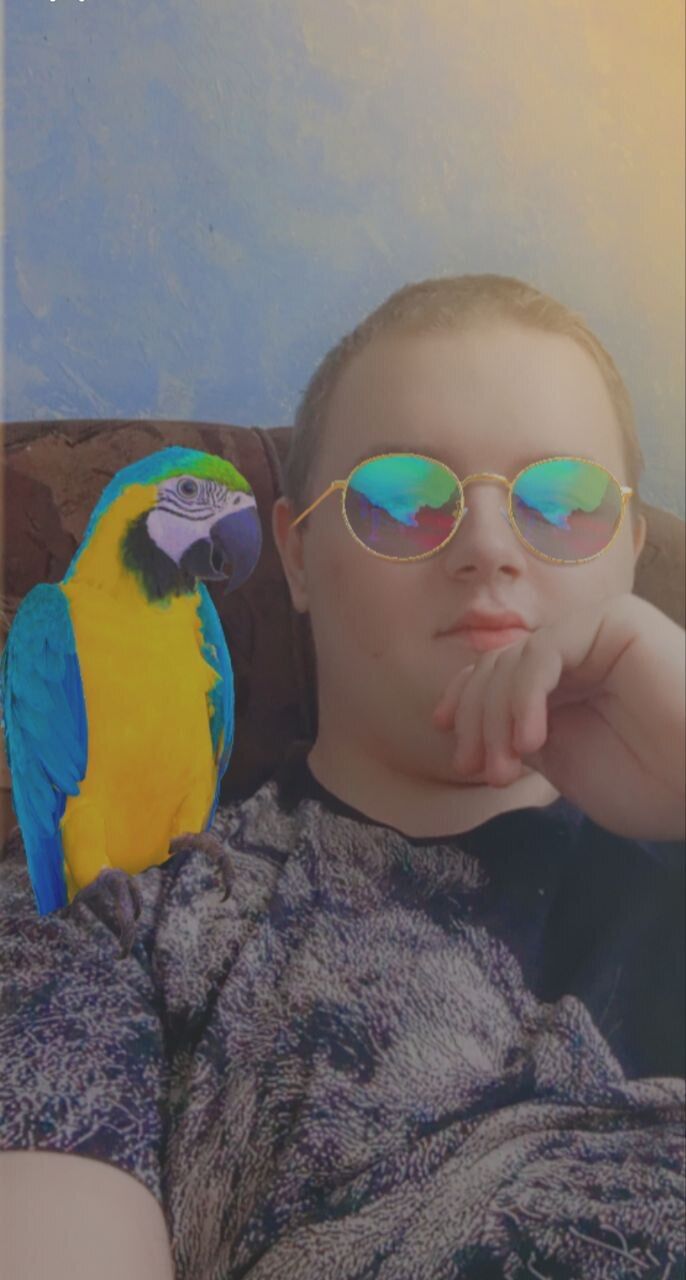 ���������� ����������, ���� ����� ���������, 20 ���, ������������ ��� ������, ����� � ���������