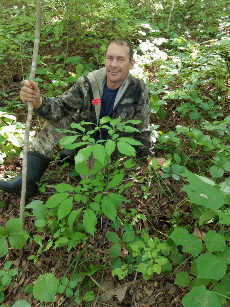 ���� 55497017 ������� ���������, 50 ���, ���� ���������� � ��������