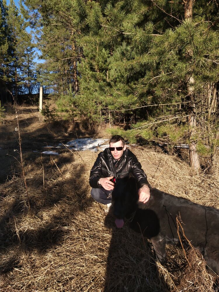 ���� 56304317 ������� ���������, 36 ���, ���� ���������� � ���������