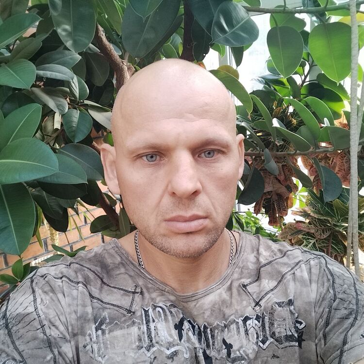  49425687  , 43 ,    
