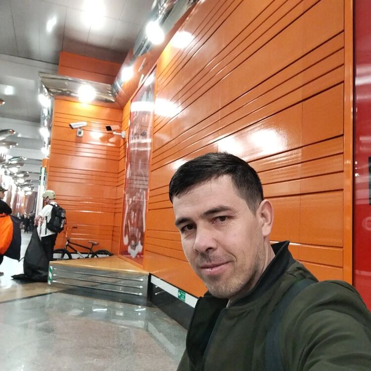  51387447  , 33 ,    -